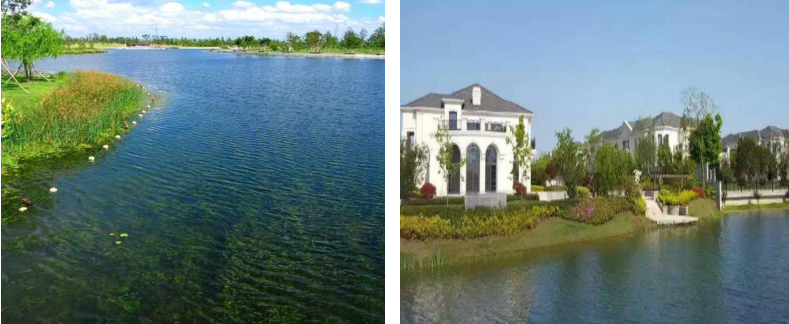 1586241271855593.png image.png